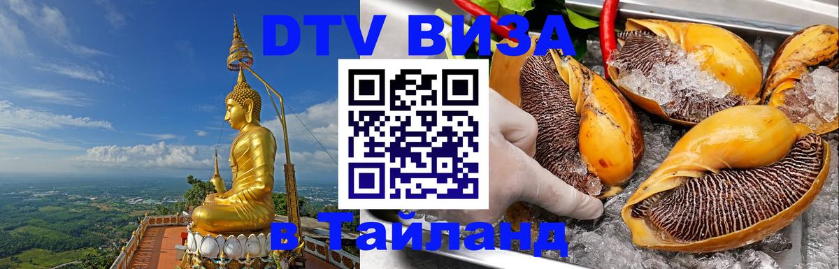 Оформление DTV визы под ключ: стоимость и тарифы, только загранпаспорт - Каспийск  04.10.2025 
